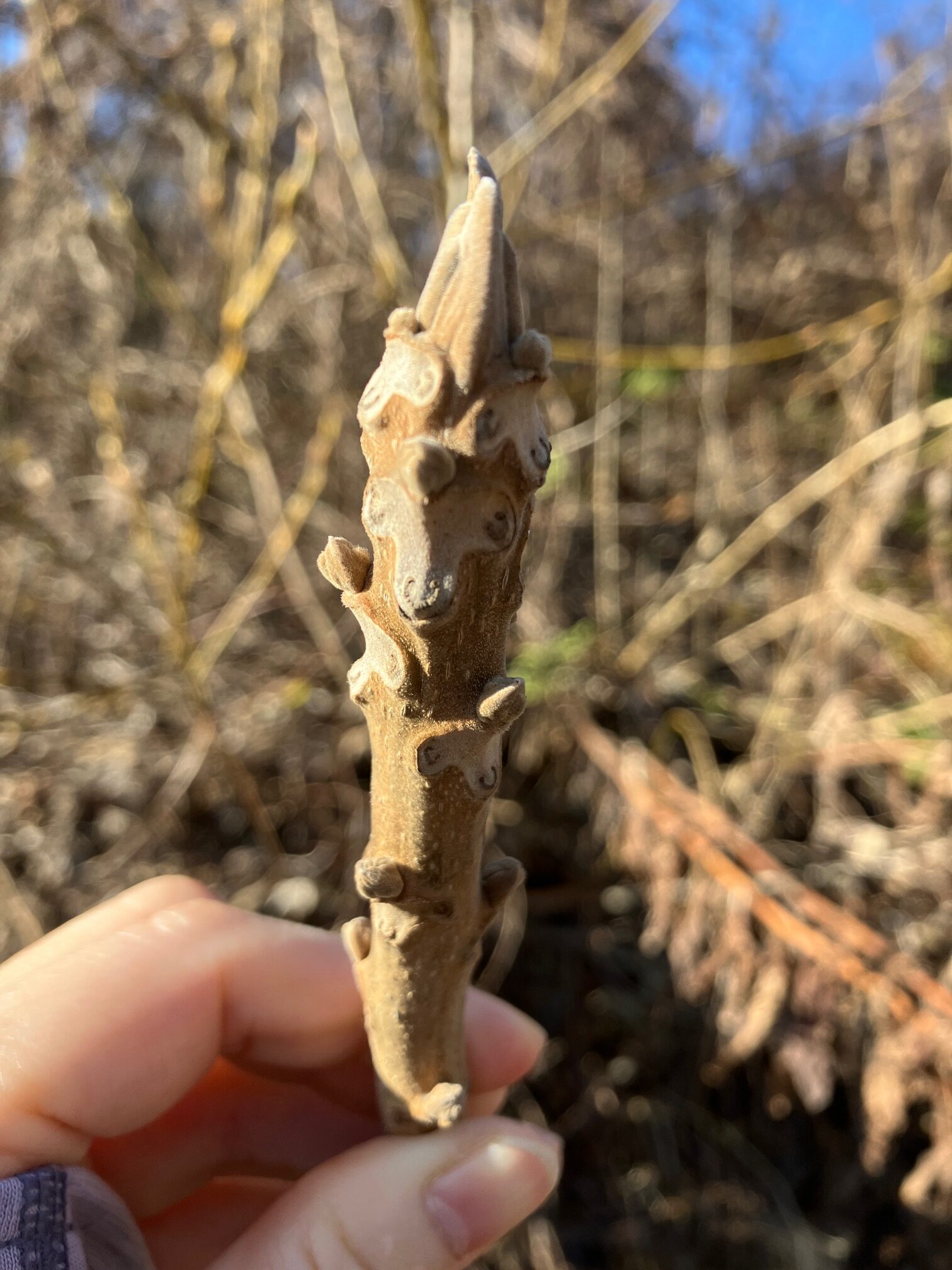 ウェブショップのリロードをお願いします。