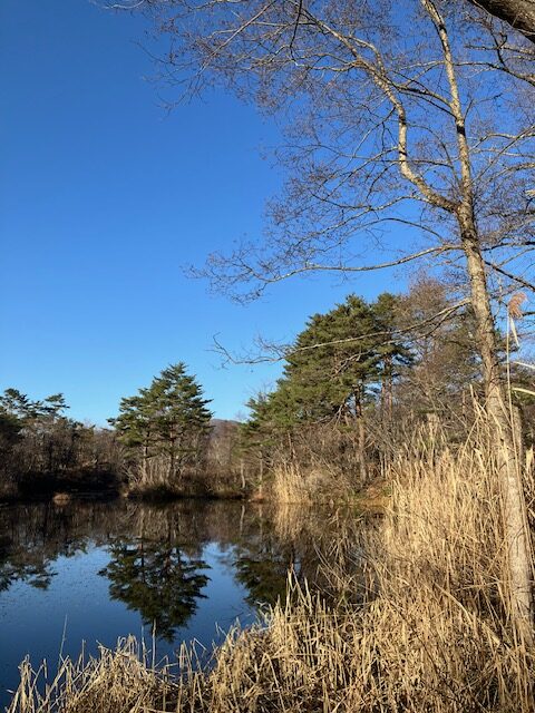 お店のお休みは29日（月）～１月５日（月）